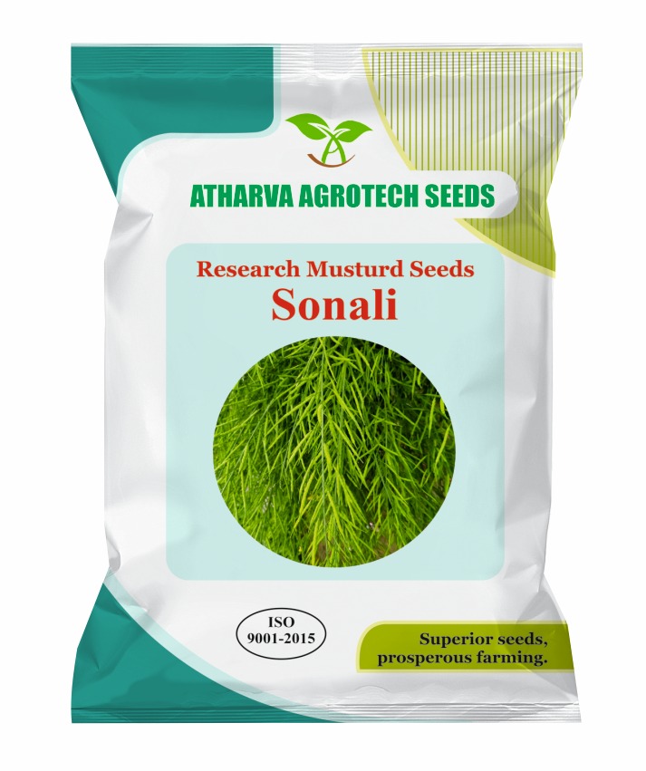 SONALI ( RESEARCH MUSTURD ) 
